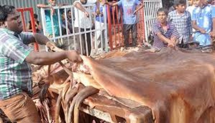 কোরবানির পশুর চামড়া সংরক্ষণ ও ক্রয়-বিক্রয় নিশ্চিতকরণে মতবিনিময় কোরবানির পশুর চামড়া সংরক্ষণ ও ক্রয়-বিক্রয় নিশ্চিতকরণে মতবিনিময়