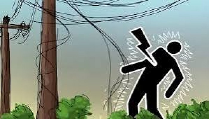 বিদ্যুৎস্পৃষ্টে ইজিবাইক চালকের মৃত্যু বিদ্যুৎস্পৃষ্টে ইজিবাইক চালকের মৃত্যু