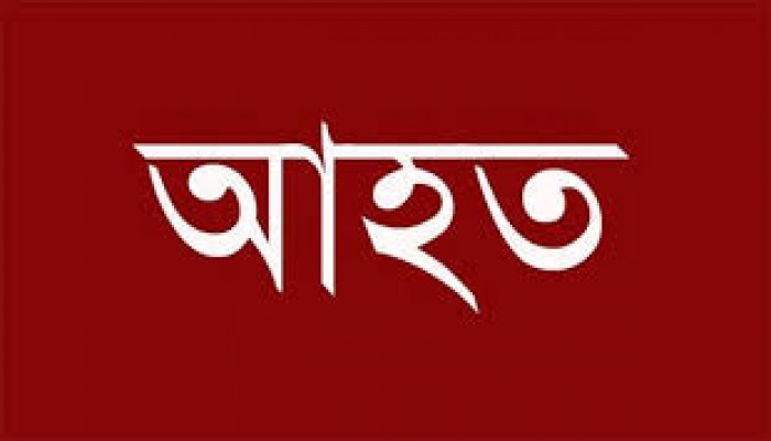 বিশ্বম্ভরপুর সীমান্তে বিএসএফের গুলিতে এক বাংলাদেশি আহত বিশ্বম্ভরপুর সীমান্তে বিএসএফের গুলিতে এক বাংলাদেশি আহত