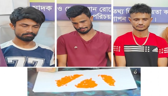 আরপিননগরে ইয়াবাসহ ৩ মাদক ব্যবসায়ী গ্রেফতার আরপিননগরে ইয়াবাসহ ৩ মাদক ব্যবসায়ী গ্রেফতার