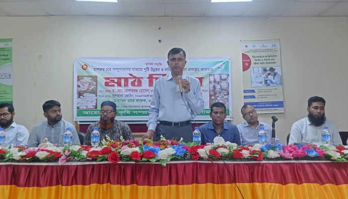 মাশরুম চাষের জন্য সুনামগঞ্জ উপযুক্ত জায়গা মাশরুম চাষের জন্য সুনামগঞ্জ উপযুক্ত জায়গা