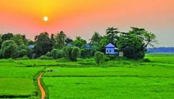 জেলা প্রশাসনের অনন্য উদ্যোগ : সবুজের সন্ধানে নতুন যাত্রা জেলা প্রশাসনের অনন্য উদ্যোগ : সবুজের সন্ধানে নতুন যাত্রা