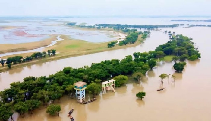 ঝুঁকিতে হাওরের জীববৈচিত্র্য, দায় কার? ঝুঁকিতে হাওরের জীববৈচিত্র্য, দায় কার?