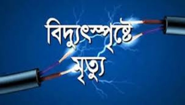 বিদ্যুৎস্পৃষ্টে যুবক নিহত বিদ্যুৎস্পৃষ্টে যুবক নিহত