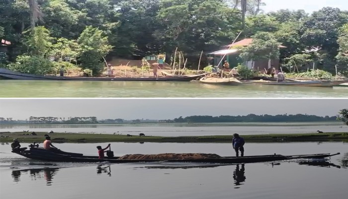 ১১ মাসে অর্ধ শত কোটি টাকার বালু লুট ১১ মাসে অর্ধ শত কোটি টাকার বালু লুট