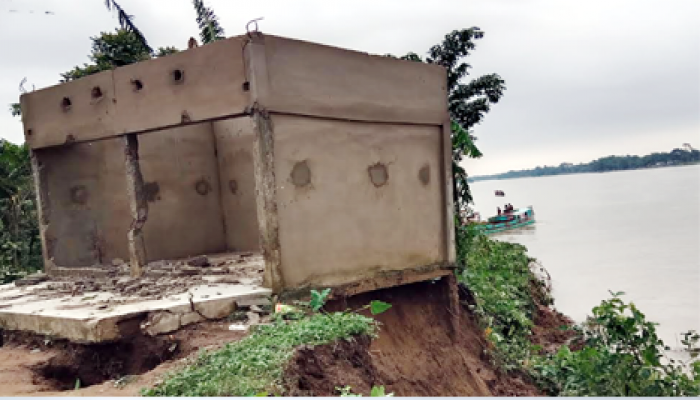 চোখের সামনে বিলীন হচ্ছে ভিটেমাটি চোখের সামনে বিলীন হচ্ছে ভিটেমাটি