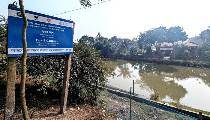 জলবায়ু সহনশীল প্রকল্পে লক্ষ্য পূরণ হয়নি, বিদেশ সফরেই প্রকল্প সারা জলবায়ু সহনশীল প্রকল্পে লক্ষ্য পূরণ হয়নি, বিদেশ সফরেই প্রকল্প সারা