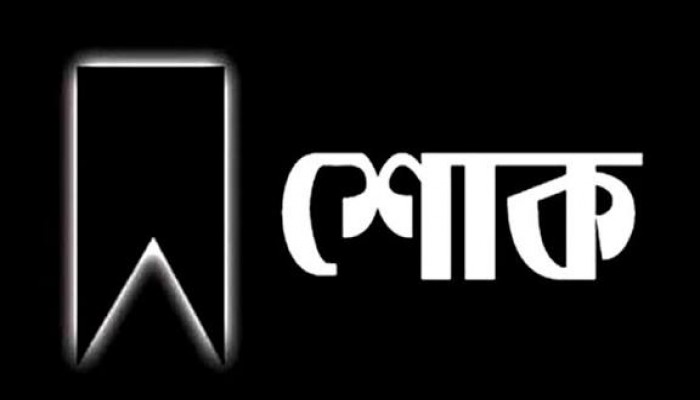 বিএনপি নেতা শামছুন নূর আর নেই বিএনপি নেতা শামছুন নূর আর নেই