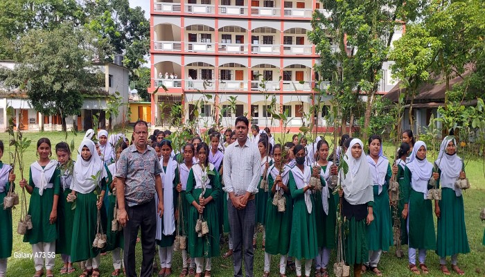 জামালগঞ্জে চারাগাছ বিতরণ জামালগঞ্জে চারাগাছ বিতরণ