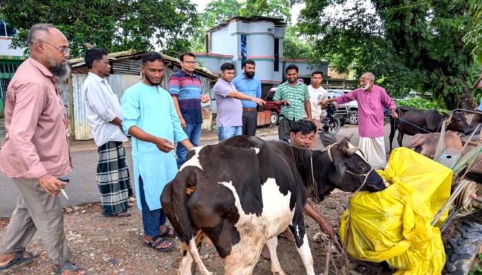 জগন্নাথপুরে বিনামূল্যে ৩ শতাধিক গবাদিপশুর চিকিৎসা প্রদান জগন্নাথপুরে বিনামূল্যে ৩ শতাধিক গবাদিপশুর চিকিৎসা প্রদান