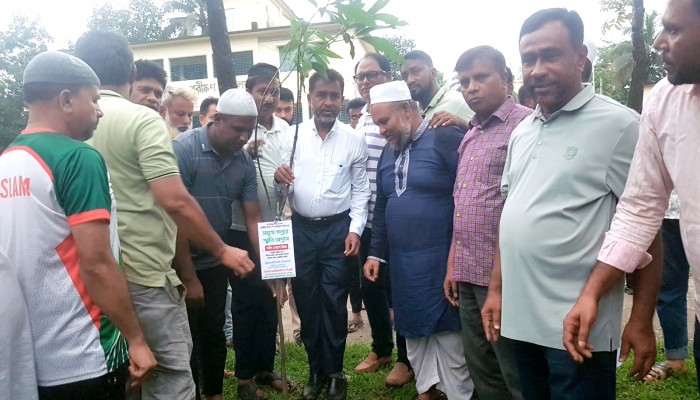 বিএনপি’র বৃক্ষরোপণ কর্মসূচি বিএনপি’র বৃক্ষরোপণ কর্মসূচি