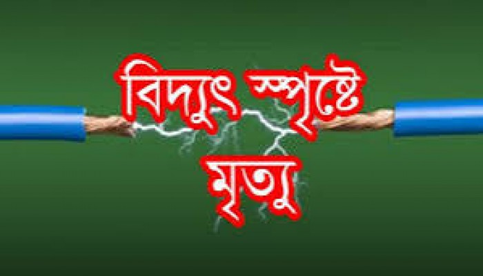 হাওরে বিদ্যুৎস্পৃষ্টে তরুণ নিহত হাওরে বিদ্যুৎস্পৃষ্টে তরুণ নিহত