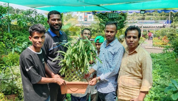 জমে উঠেছে বৃক্ষমেলা জমে উঠেছে বৃক্ষমেলা