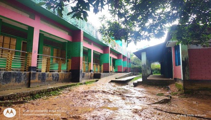 নানা সমস্যায় জর্জরিত বিদ্যালয়, পাঠদান ব্যাহত নানা সমস্যায় জর্জরিত বিদ্যালয়, পাঠদান ব্যাহত