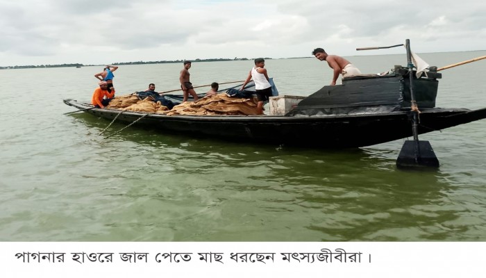 মাছশূন্য হাওর, সংকটে জল-জীবিকা মাছশূন্য হাওর, সংকটে জল-জীবিকা
