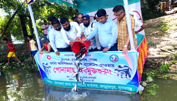 জগন্নাথপুরের বিভিন্ন জলাশয়ে পোনামাছ অবমুক্ত জগন্নাথপুরের বিভিন্ন জলাশয়ে পোনামাছ অবমুক্ত