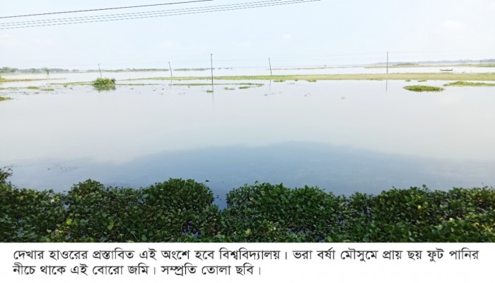 দেখার হাওর ঢেকে যাবে বিশ্ববিদ্যালয়ে দেখার হাওর ঢেকে যাবে বিশ্ববিদ্যালয়ে