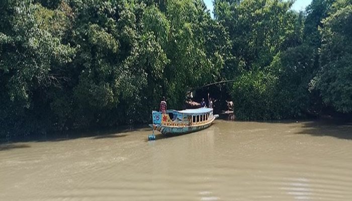 শিক্ষার্থীদের ঝুঁকিপূর্ণ যাতায়াত পারাপারে নৌকা আর বাঁশের সাঁকোই ভরসা শিক্ষার্থীদের ঝুঁকিপূর্ণ যাতায়াত পারাপারে নৌকা আর বাঁশের সাঁকোই ভরসা