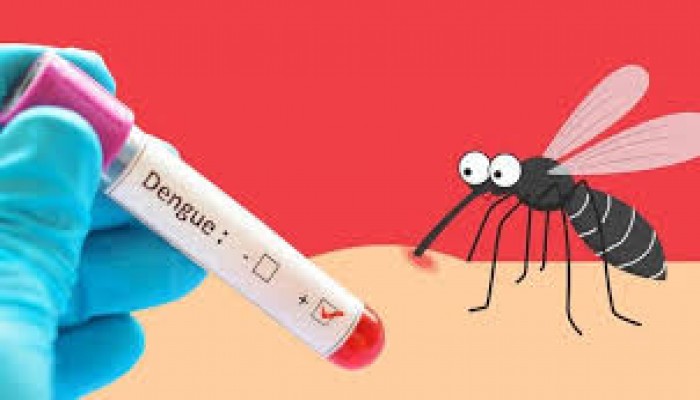 ডেঙ্গুতে মৃত্যু ২৫০ ছাড়ালো