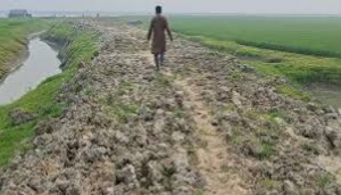 অক্ষত বাঁধকে ক্ষতিগ্রস্ত না দেখানোর দাবি