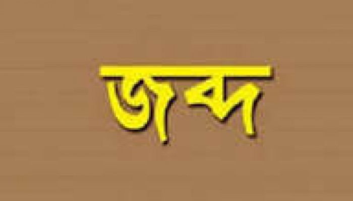 যাদুকাটায় অবৈধভাবে বালু উত্তোলন, সেইভ মেশিনসহ ১০ নৌকা জব্দ