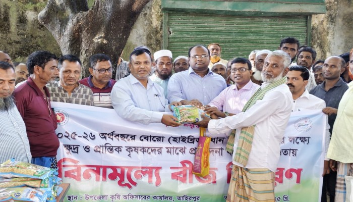 তাহিরপুরে বিনামূল্যে ধানের বীজ পেলেন ১৩৫০ কৃষক