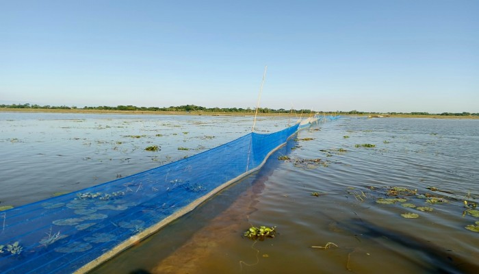 ৩০ একর জায়গা দখল করে মৎস্য নিধনের অভিযোগ