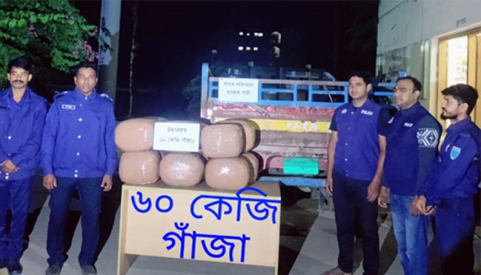 শান্তিগঞ্জে ৬০ কেজি গাঁজা জব্দ