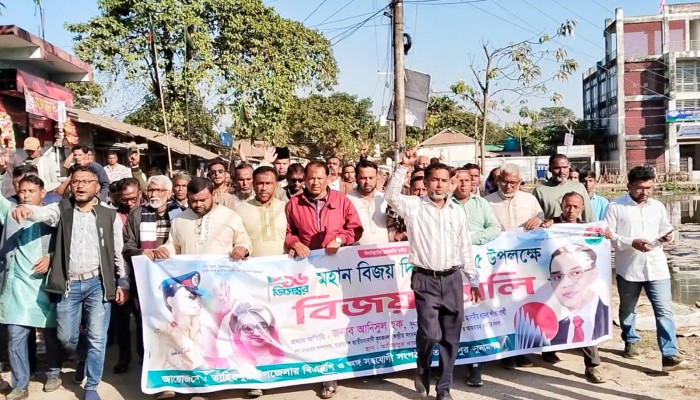 বিএনপি ক্ষমতায় গেলে ১ কোটি মানুষের কর্মসংস্থান তৈরি করবে: এমপি প্রার্থী আনিসুল হক