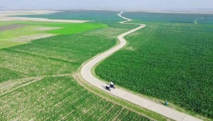 হাওরে নির্মাণ হবে গোপাট, থ্রেসিং ও সানিং ফ্লোর