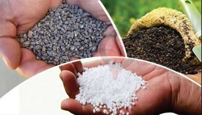 ডিলারের দুর্নীতি ও অনিয়মের বিরুদ্ধে ব্যবস্থা নিতে কৃষকদলের আবেদন