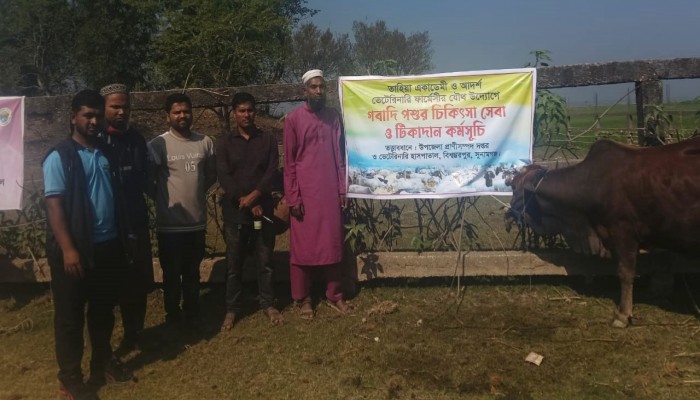 তাহিয়া একাডেমির উদ্যোগে চারটি গ্রামে গবাদিপশুর চিকিৎসা ও টিকাদান কর্মসূচি