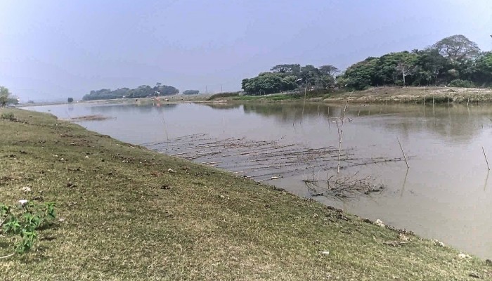 জামালগঞ্জে জলমহালে বিষ প্রয়োগে মাছ নিধনের অভিযোগ