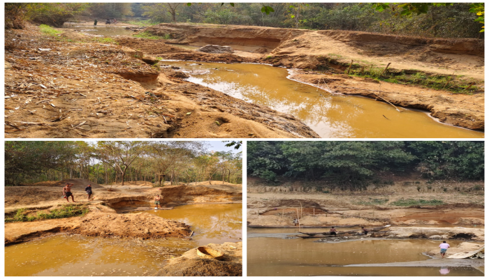 টাকার লোভে নদীর পাড় বিক্রি : সোনালীচেলার ভাঙনে বিলীন হচ্ছে গ্রাম