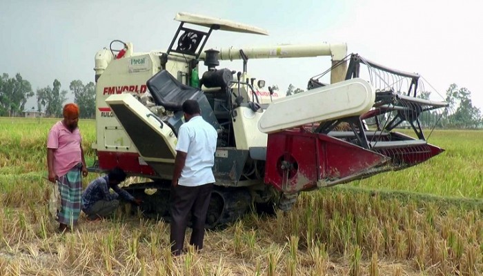 প্রায় ৪০০ ধান কাটার মেশিন বিকল, সময়মতো ধান কর্তনে দুশ্চিন্তায় কৃষক