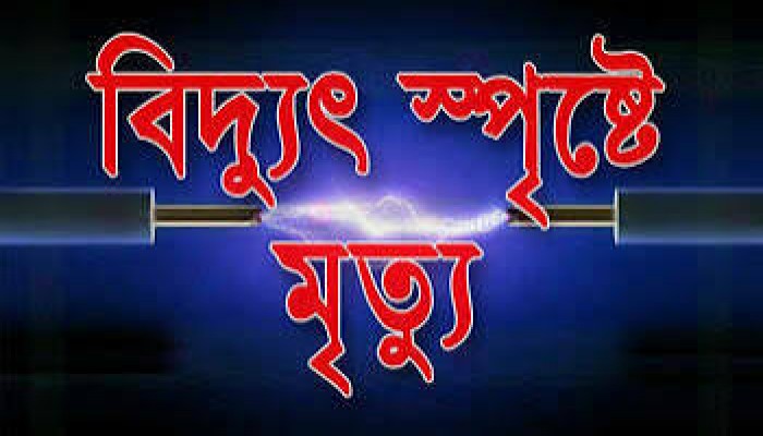 জামালগঞ্জে বিদ্যুৎস্পৃষ্টে তরুণ নিহত