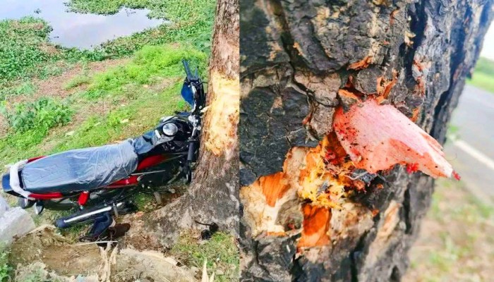 শান্তিগঞ্জ থেকে শিমুলবাগান যাওয়ার পথে সড়ক দুর্ঘটনায় হতাহত