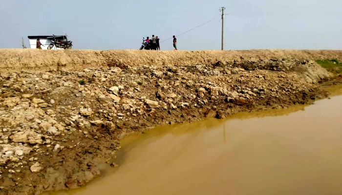 নলুয়ার হাওরের বাঁধ ঝুঁকিতে, ফসলহানির শঙ্কায় কৃষক