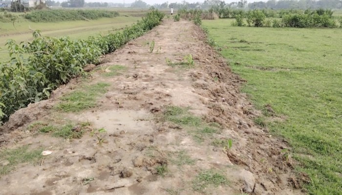 ছাতকে ‘দুর্বল বাঁধ’ নিয়ে দুশ্চিন্তায় কৃষক