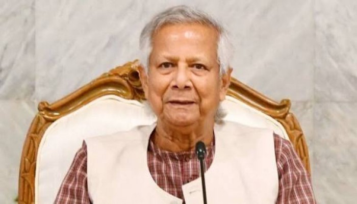 ইউনূস সরকারের দুর্নীতির তদন্ত করবে সরকার