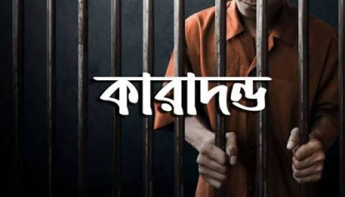 পিতা ও বোনের ওপর হামলার ঘটনায় যুবকের দুই বছরের কারাদন্ড