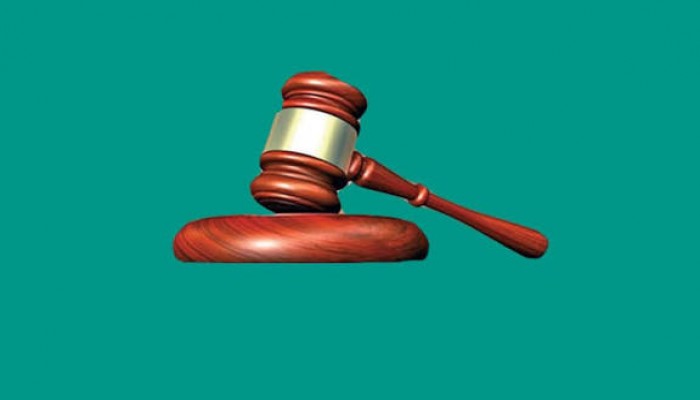 দুই বখাটের কারাদন্ড