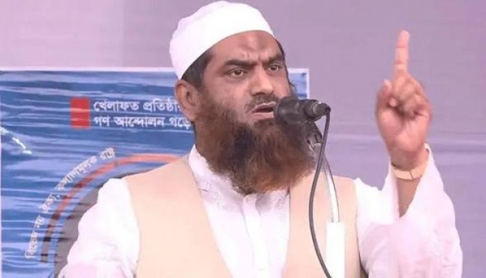 সরকারের কাঁধে শেখ হাসিনার ভূত চেপেছে : মামুনুল হক