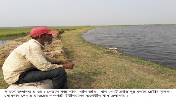 হাওরে ‘নয়া দুর্যোগ’ জলাবদ্ধতা