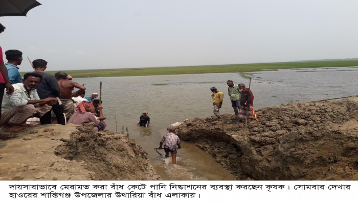 হাওরে ‘নয়া দুর্যোগ’ জলাবদ্ধতা