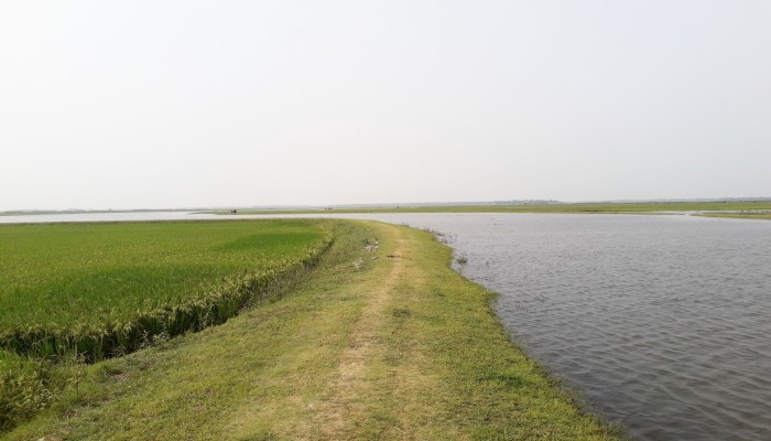 হাওরের ফসল রক্ষায় প্রয়োজনীয় উদ্যোগ নেওয়ার আহ্বান