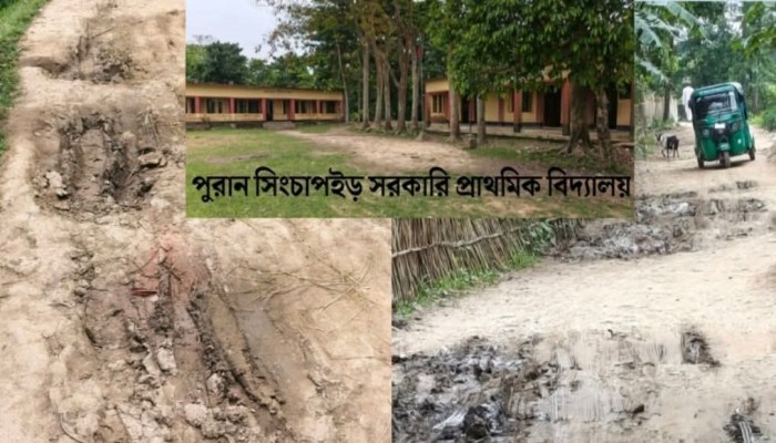 হবিপুর-পুরান সিংচাপইড় সড়কের বেহাল দশা, ভোগান্তিতে হাজারো মানুষ