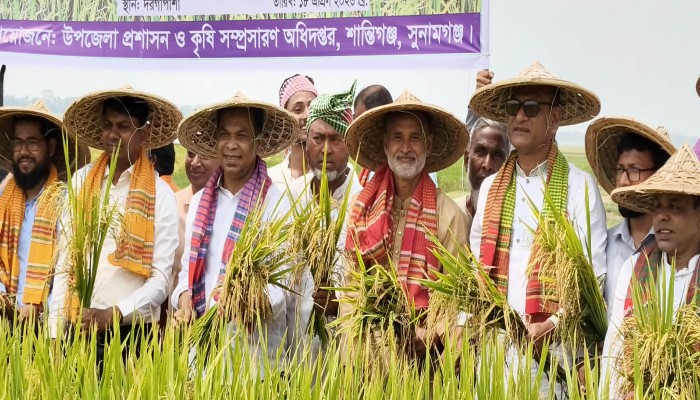 দেশে জ্বালানি তেলের কোনো সংকট নেই : এমপি কয়ছর আহমদ
