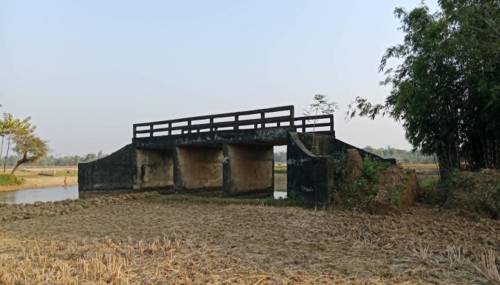 ২০ বছরেও নির্মাণ হয়নি সেতুর সংযোগ সড়ক