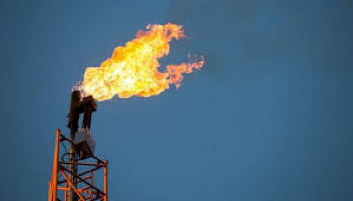 দেশে মজুদ গ্যাস দিয়ে ১২ বছর চলবে : জ্বালানিমন্ত্রী